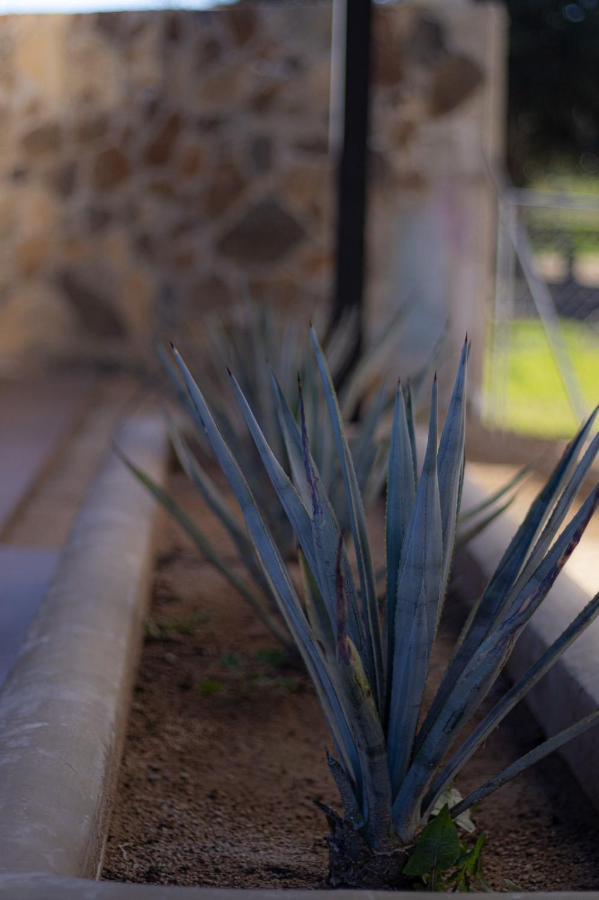 Catrina Valle - Ubicacion 10 Valle de Guadalupe Eksteriør bilde